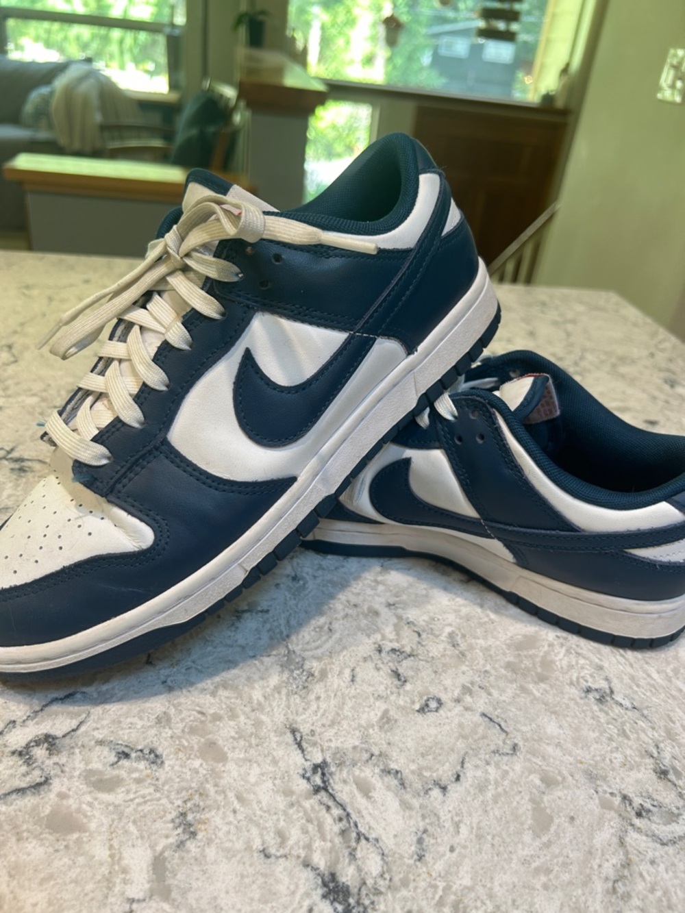 Nike Men’s Dunk Low Sneakers - Navy & White